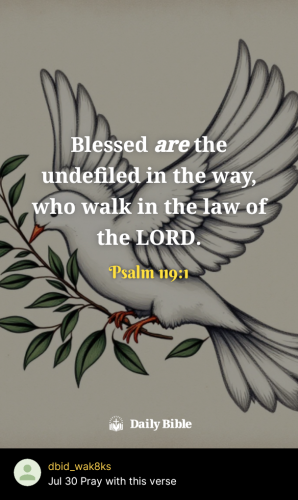 2025-07-301753920137939