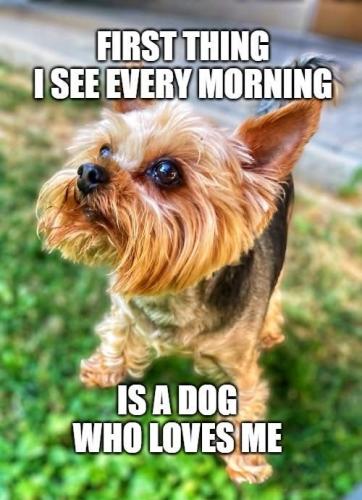 ba554243706ba943f44b31b621f01580