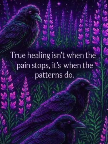 518937625_1431374184752203_882260669671057237_n