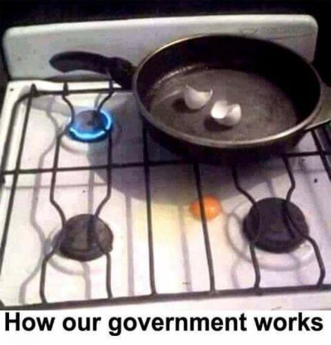 how government works