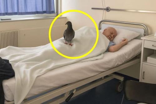 518300474_748973628089230_3403490897501600299_n