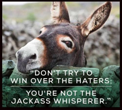 IMG_20250731_041051_296