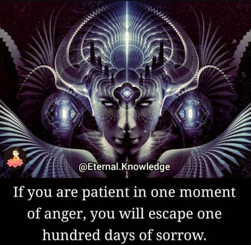 4070d2845067daa8333315cd7c5dba56