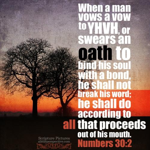 num-30-2-HBE-pixabay