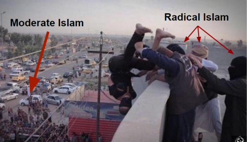 radical vs moderate islam