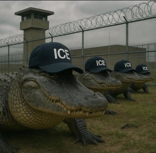 Screenshot_20250629_180626_Instagram