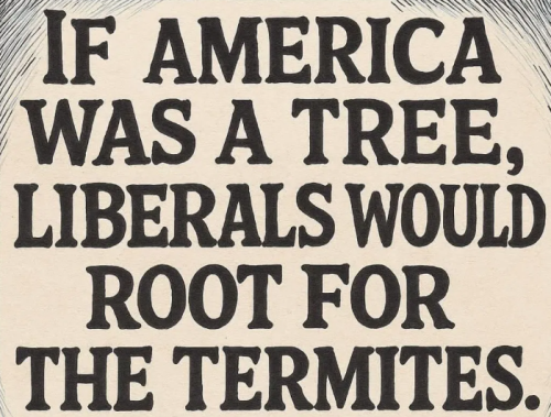 image_2025-07-02_064807383