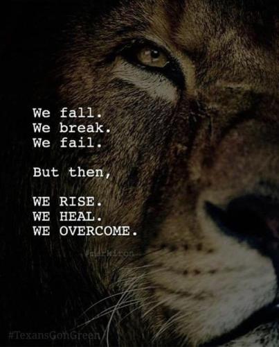 8fd2a16782f74742dd493efe44dca1e5