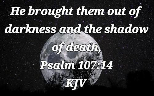 07fb5060-a2c2-4add-a08c-a15039529970