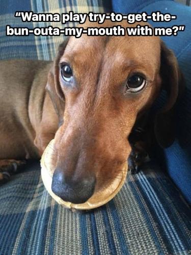 Resized_FB_IMG_1751780770377