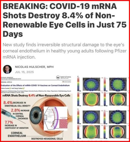 518274334_1310154241117746_442534819034502409_n