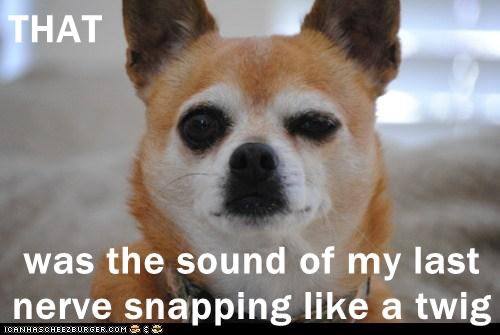 IMG_20250727_081717_639