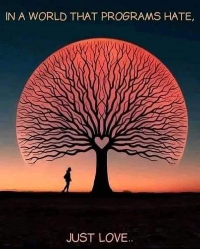 514409035_1284200267038369_2464280292422121399_n