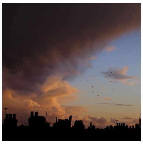 1d4bc344-e8f6-4b78-85b9-795680027467