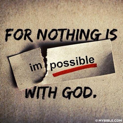 81d3fed2dfd161ca55d65d36559f73b7