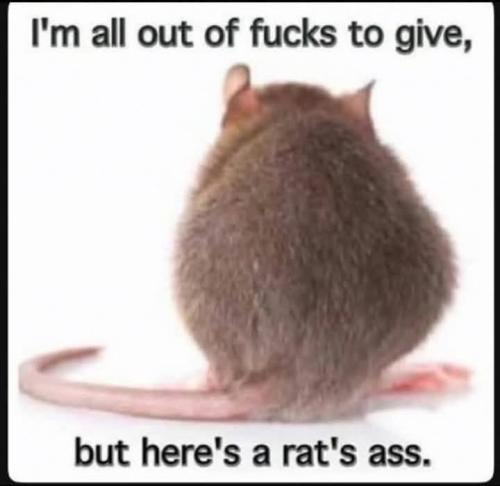 FB_IMG_1752299569550