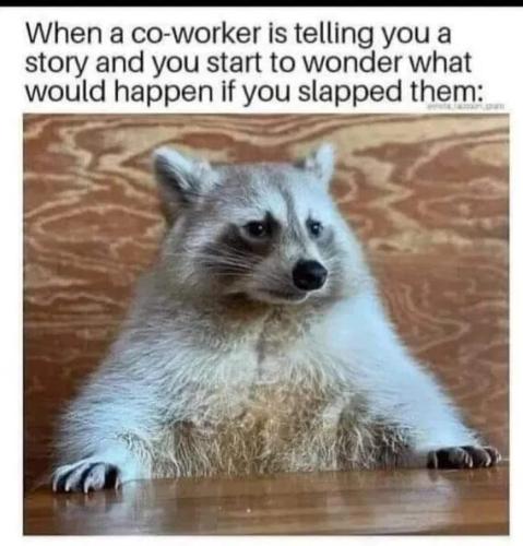 slap-coworker