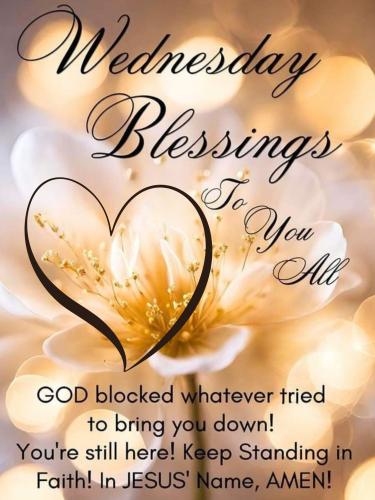 517156295_753277340539948_2858677782617141925_n