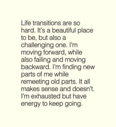 521499977_755064740743054_8470199861174711438_n