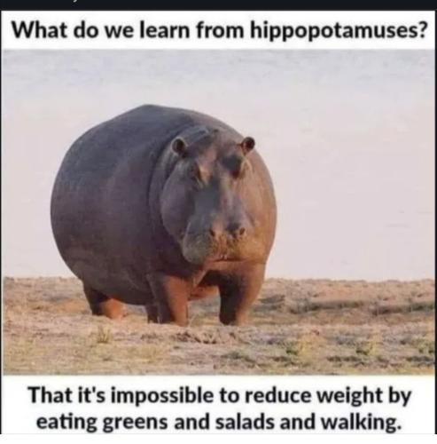 Screenshot_20250704_032252_Wimkin Free Speech Social Media