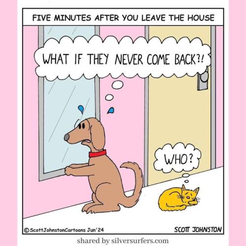 a0ffa540ec255b215aca33257f70b6da