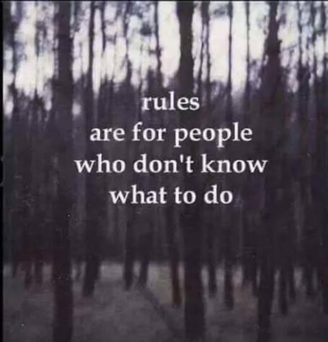 522818439_734181849319891_7564405872734074144_n