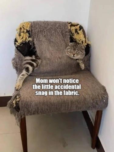 mom-wont-notice-little-accidental-snag-fabric