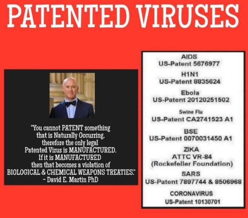 FB_IMG_1752479124863