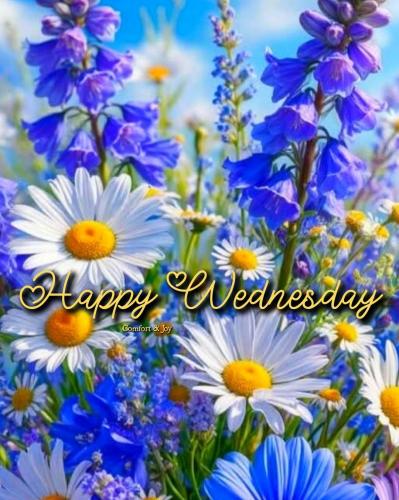 518117384_758190730505664_5642171324434680336_n