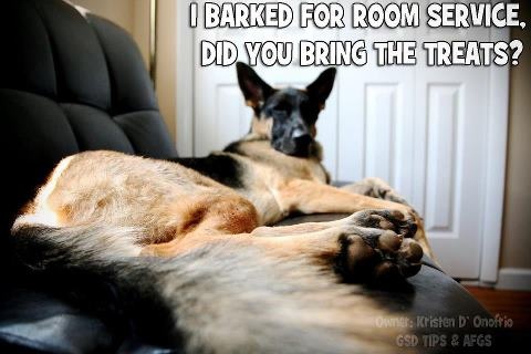 c83539c3ee611acd90dfe2d41b466c75 (1)