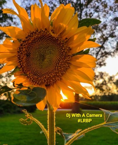 Screenshot_20250726_070110_Gallery