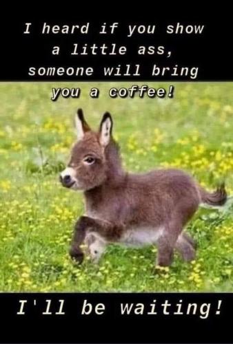 edbf55df6ae24ff5f5f872a8d06545dd