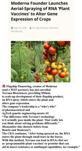 524913872_1321132743353229_6581102770838892593_n