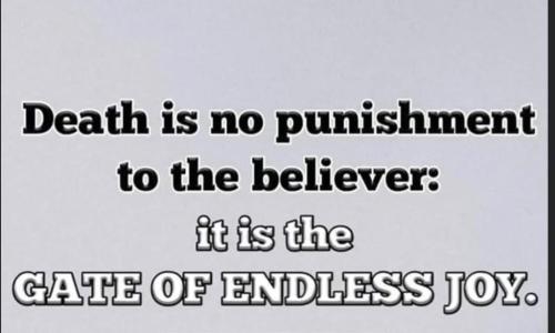 5b4aee8c-1e29-4761-865f-b8e528f03c9a