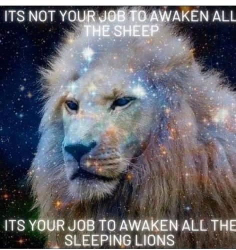 fb9aecddab508c83b3f76c87edeefdf5