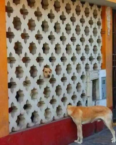 FB_IMG_1560812759418