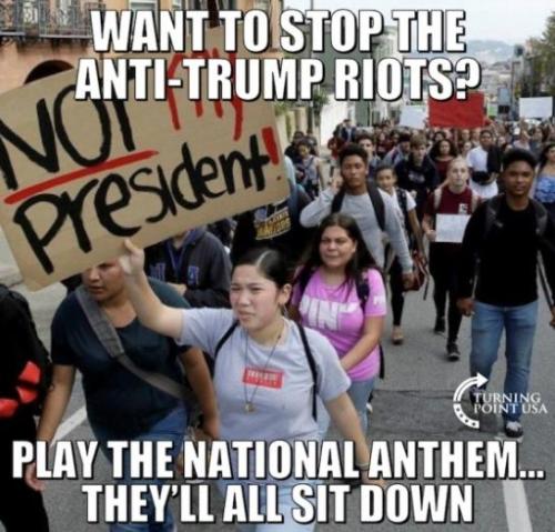 how to stop anti-trump protests