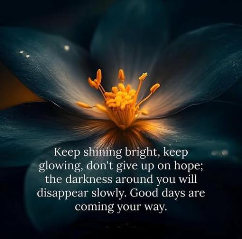 518146924_1259155009478209_8083528457832798839_n