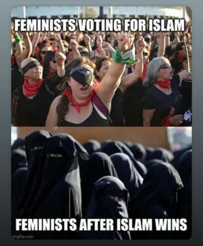 31ade575-7fa3-4dde-9f21-067a2984f62b