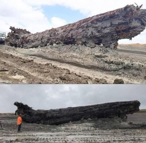 582fac4b-cb9b-49d1-862e-4095887ae304