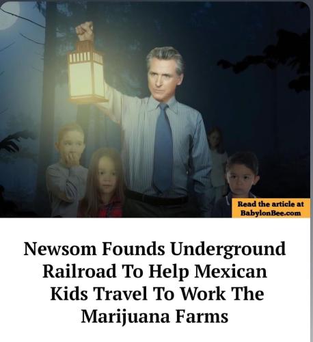 cbcb07a6-3efb-4475-ab4d-6e9860ffb624