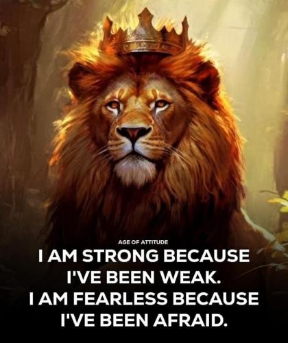 c600408643c9b81f22ee3fed9d75bcb8