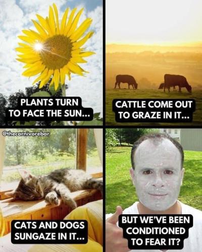 519654707_24092419183708192_6336845727874161562_n