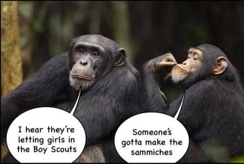 someone make sandwich