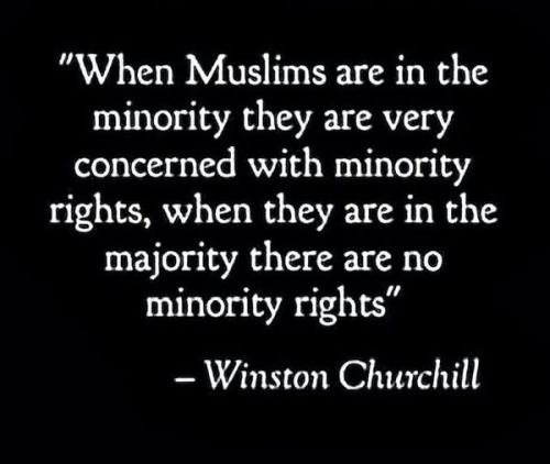 515961181_1291784389186766_7996078129891398772_n