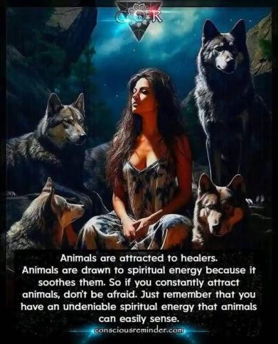 525390311_1273819991041190_7146330263334911794_n