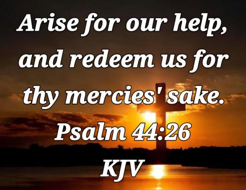 bfa2f49a-b162-444a-95d5-15fbcb970bbe