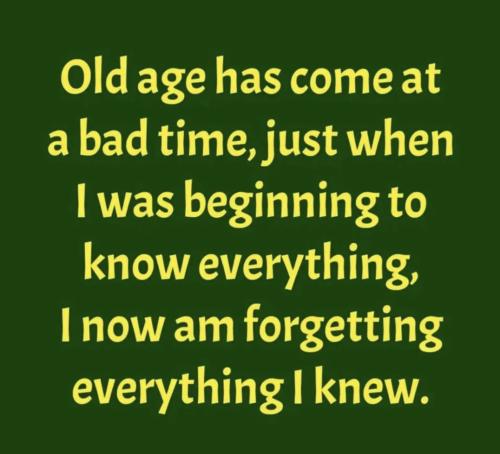 Screenshot_20250706_023533_Instagram