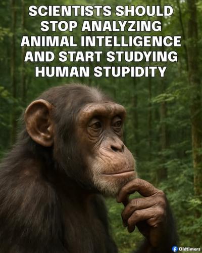 524886547_1109821221336087_6441690508125244529_n