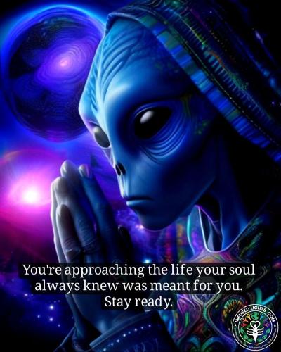 1305a543f2a215f63b30b53646ee4135